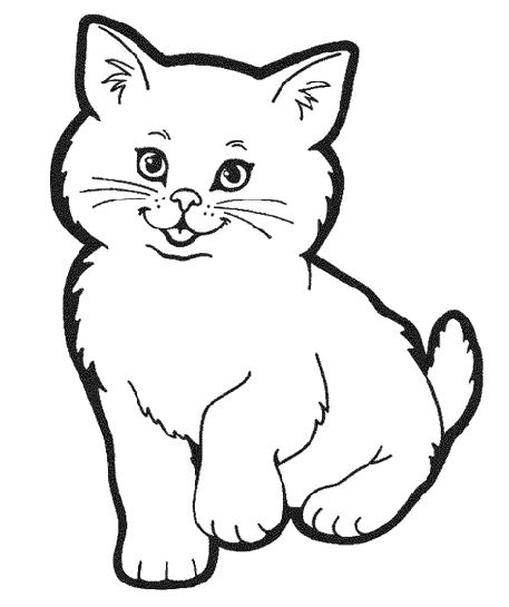Coloriage De Vrai Chat
